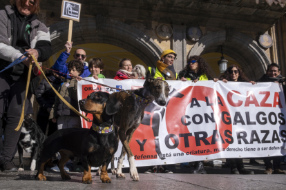 Manifestación en Salamanca contra el maltrato de galgos en la caza. - ICAL