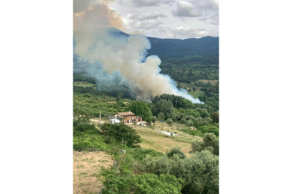 Activo un incendio en el sur de Ávila. Twitter: Infues Ávila