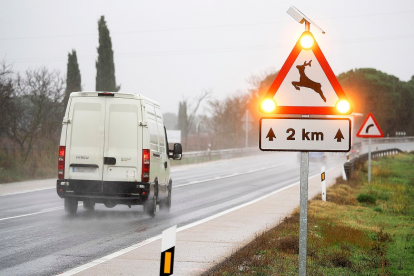 Nueva señal luminosa en la N-122 a la Quintanilla de Arriba, el tramo con mayor accidentalidad por animales de Castilla y León.-  PHOTOGENIC
