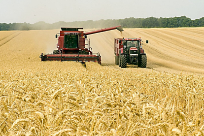 Recogida de la cosecha en un campo de cereal. U. DE UNIONES