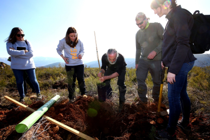 Plantación de árboles autóctonos en Anllares del Sil (León), durante la jornada sobre el proyecto ‘LIFE Osos con Futuro’. - ICAL
