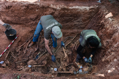 Exhumación de fusilados en el cementerio de Las Casas (Soria). -ICAL