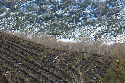 Montañas del Valle del Sil en Anllares del Sil ( León), territorio del oso.- ICAL
