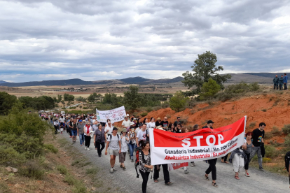 Manifestación contra la Macrovaqueria de Noviercas. Ical