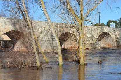 El río Arlanza, en alerta amarilla, a su paso por la localidad burgalesa de Lerma.- ICAL