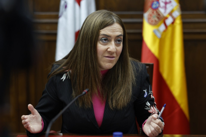Virginia Barcones, delegada del Gobierno en Castilla y León. ICAL