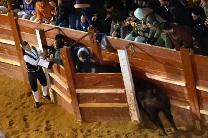 Dos heridos al entrar un toro en un burladero durante el Concurso de recortes nocturno en el Carnaval del Toro de Ciudad Rodrigo. -ICAL