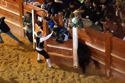 Dos heridos al entrar un toro en un burladero durante el Concurso de recortes nocturno en el Carnaval del Toro de Ciudad Rodrigo. -ICAL