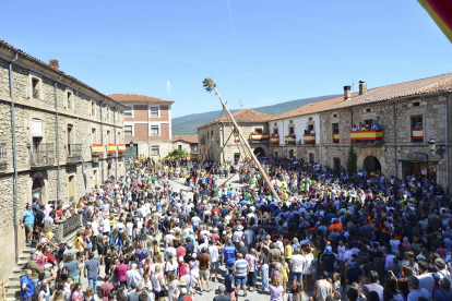 Fiestas de la Pingada del Mayo de Vinuesa (Soria).MARIO TEJEDOR