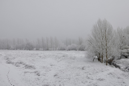 Niebla y hielo en Salamanca. -ICAL.