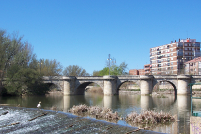 Río Carrión, a su paso por Palencia en una imagen de archivo. E. M.