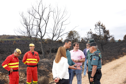 Pedro Sánchez, en la zona de la Sierra de la Culebra arrasada por el incendio. ICAL