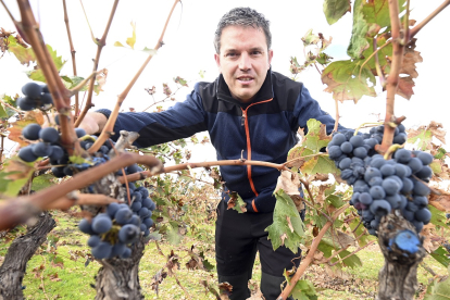 Nacho Rincón, viticultor e influencer de Moradillo de Roa (Burgos). -ICAL