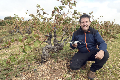 Nacho Rincón, viticultor e influencer de Moradillo de Roa (Burgos). -ICAL