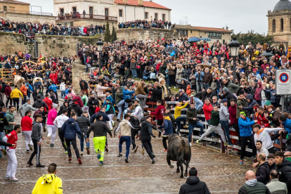 Carnaval del Toro en Ciudad Rodrigo en Salamanca.- ICAL