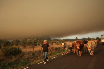 El avance del incendio forestal de Monsagro obliga al desalojo de Guadapero y Morasverdes (Salamanca).- ICAL