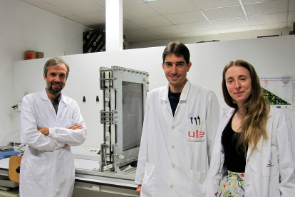 Adrián Escapa, Raúl Mateos e Isabel San Martín en uno de los laboratorios del Instituto de Recursos Naturales. - EL MUNDO