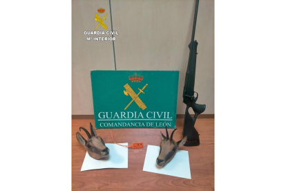 Efectos intervenidos por el Seprona de la Guardia Civil en dos operaciones contra la caza furtiva en la provincia de León. - ICAL