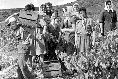 Los antiguos viticultores elaboraban vino para el autoconsumo familiar hasta que en la década de los sesenta surgen las primeras cooperativas. / Ji BERDÓN DO RIBERA