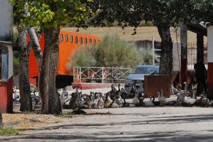 Escuela de equitación 'El centauro' en Tudela de Duero (Valladolid) donde se produjo un accidente mortal este domingo.- PHOTOGENIC