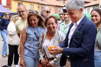 Feria del tomate de Mansilla de las Mulas, en León.- ICAL