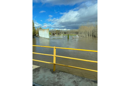Inundación en el área recreativa de la isla de Cebrones del Río, León - E.M.