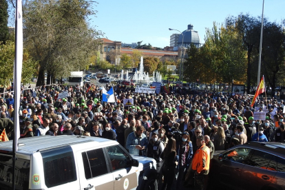 Asistentes a la manifestación del 13 de noviembre en Madrid. L. FUENTE