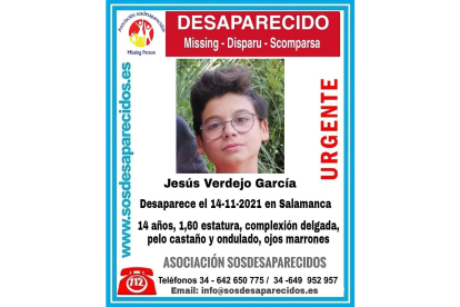 Niño de 14 años desaparecido en salamanca. | E. M.
