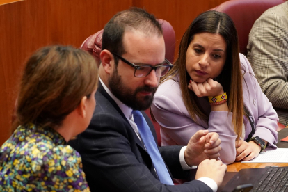 La procuradora socialista Nuria Rubio conversa con dos compañeros de bancada durante el pleno.- ICAL