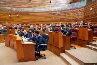 Parlamentarios del PP y de Vox votan durante el pleno de las Cortes.- ICAL