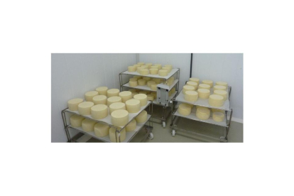 Fotografía de los quesos que Asaja Palencia ha envíado al Hospital de IFEMA.- ASAJA