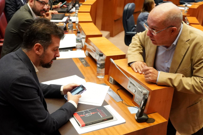 Luis Tudanca y Francisco Igea durante un pleno de las Cortes, en una imagen de archivo.-ICAL