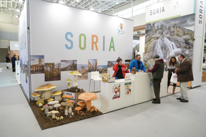 Expositor de Soria en la XXV edición de Intur, la Feria Internacional del Turismo de Interior. -ICAL