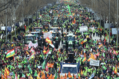 Manifestación de Agricultores y Ganadores por el paseo de la Castellana en Madrid. Juan Lázaro / ICAL.