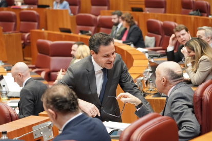 El portavoz del PP en las Cortes, Raúl de la Hoz, durante el pleno.- ICAL