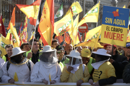 Manifestación de agricultores y ganaderos por el paseo de la Castellana en Madrid. Juan Lázaro / ICAL.