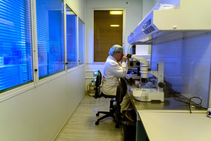 Laboratorio de fecundación in vitro de la Unidad de Reproducción Asistida del Hospital Clínico de Valladolid - ICAL