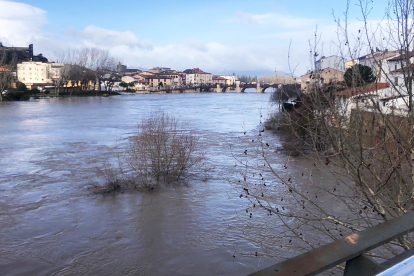 Imagen de ayer del río Ebro a su paso por Miranda de Ebro en Burgos. ICAL