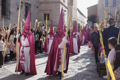 Procesión del Domingo de Ramos en Zamora