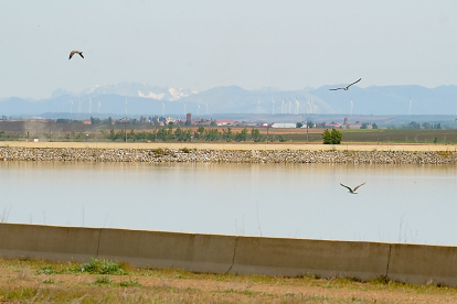 Embalse de Villalón, de 117 hectáreas.