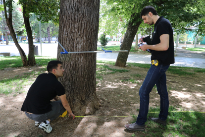 El responsable de ingeniería Sanpe, David Santos ; y el ingeniero forestal, Mario Lamela, analizan y miden árboles en el parque del Salón de Isabel II.