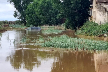 Las abundantes lluvias desbordan el arroyo de la Vega y provocan inundaciones en Cerecinos de Campos