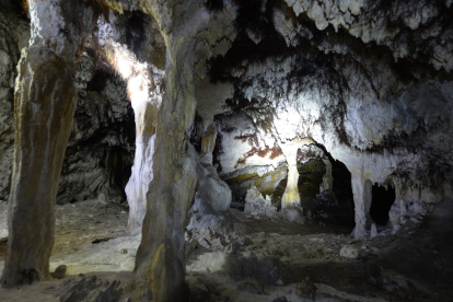 Cueva Peluda, nuevo espacio visitable en los Yacimientos de Atapuerca