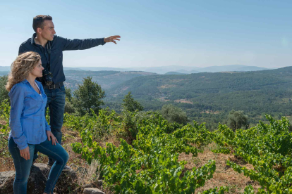La Ruta del Vino Sierra de Francia situada al sur de la provincia de Salamanca, articulada sobre la D.O.P. Sierra de Salamanca con una superficie de 482,10 km2. Situada a escasos 60 km de Salamanca, ciudad Patrimonio Mundial, a 200 km de Valladolid y 250 de Madrid, se convierte en un destino atractivo para todo tipo de turismo.