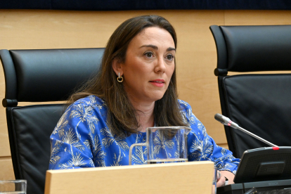 La consejera de Movilidad y Transformación Digital, María González Corral, durante su comparecencia en las Cortes.