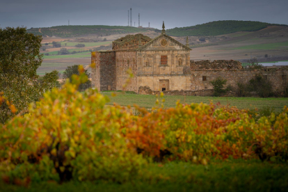 La Ruta del Vino de Zamora es el lugar ideal para disfrutar de espacios perfectamente conservados que mantienen la esencia del pasado, territorios únicos envueltos de gran cultura enológica y exquisita gastronomía. e