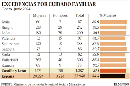 Excedencias por cuidado familiar en Castilla y León. E. M.