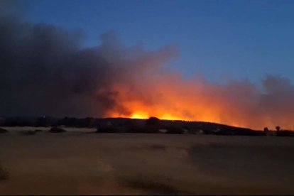 Imagen de la zona afectada en Alcañices (Zamora)