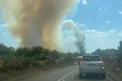 Imagen de la zona afectada en Alcañices (Zamora)