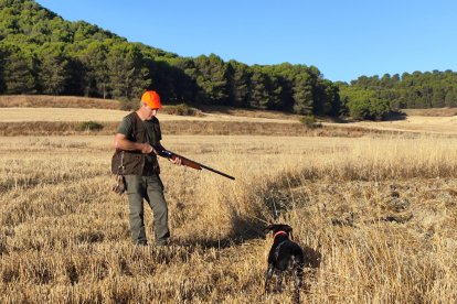 Un cazador, con su perro de muestra sobre una codorniz en Simancas.